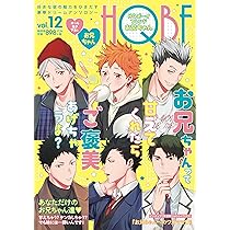 HQボーイフレンド お兄ちゃん (F-Book Selection) | 便所虫